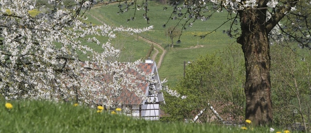 Hoeve Endepoel